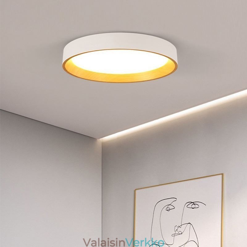 Kattovalo Moderni minimalistinen uppoasennuspaneelilamppu