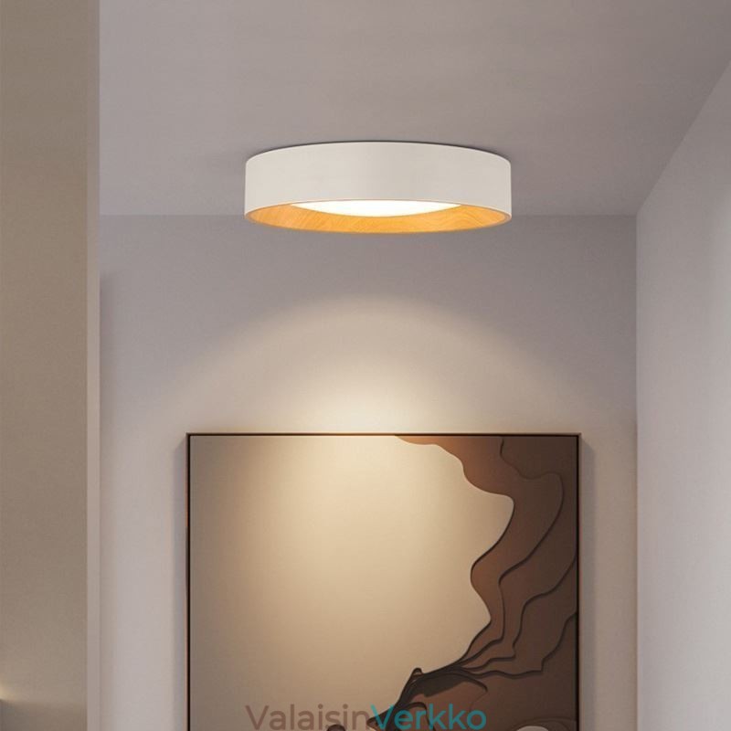 Kattovalo Moderni minimalistinen uppoasennuspaneelilamppu