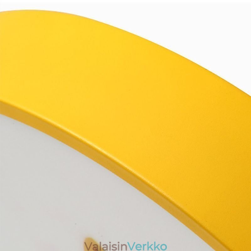 Animal Childrens Ceiling Light sarjakuva kattolamppu