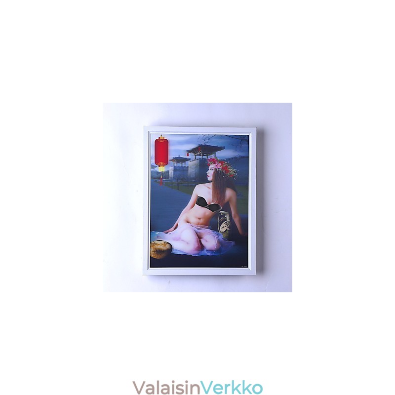 Integroitu moderni nykyaikainen moderni nykyaikainen maalausominaisuus ympäristövalaistuksiin