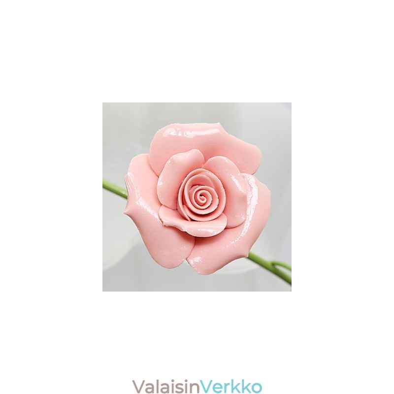 Ystävänpäivä Ruusutarhan kukat ja kasvit imevät kupolin valoa