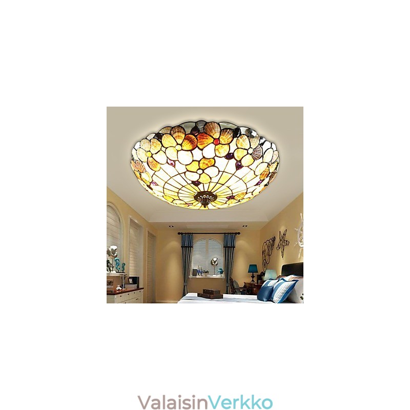 Välimeren simpukat imevät kupuvalon maaseutupiippua, halkaisijaltaan 50 cm
