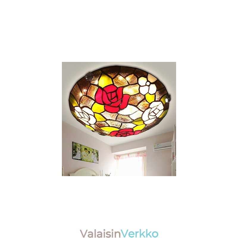 Välimeren makeat lapset imevät kupolivaloruusun halkaisijaltaan 50 cm