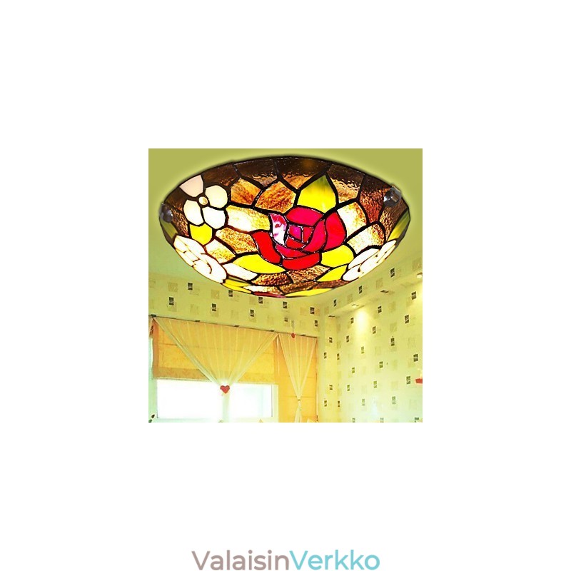 Välimeren makeat lapset imevät kupolivaloruusun halkaisijaltaan 50 cm