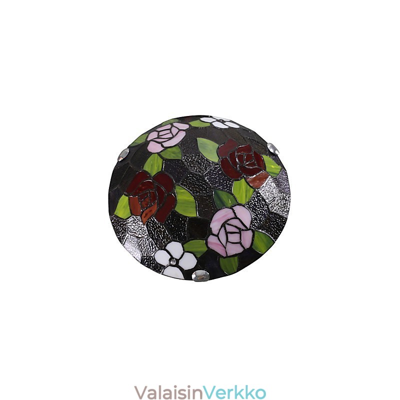 Välimeren makeat lapset imevät kupolivaloruusun halkaisijaltaan 50 cm