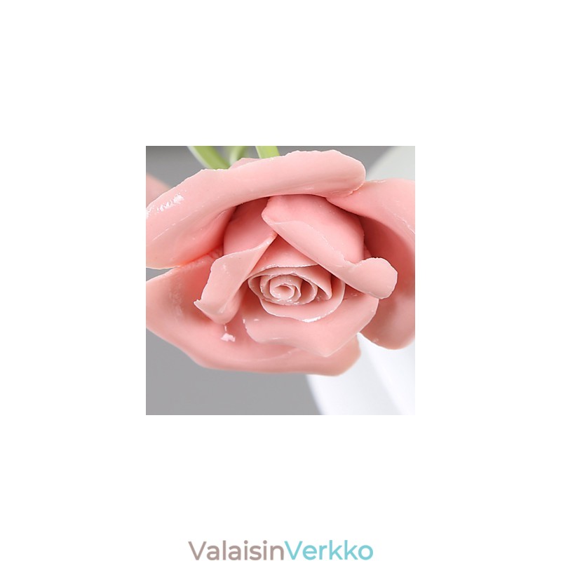 Ystävänpäivä Ruusutarhan kukat ja kasvit imevät kupolin valoa