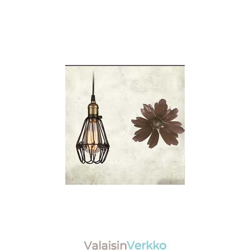 Pendant Lights Vintage amerikkalainen maalaistyylinen muinaisia tapoja takorautainen pieni häkkipisaravalo