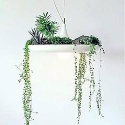 Moderni nykyaikainen muut metalliriippuvalaisin