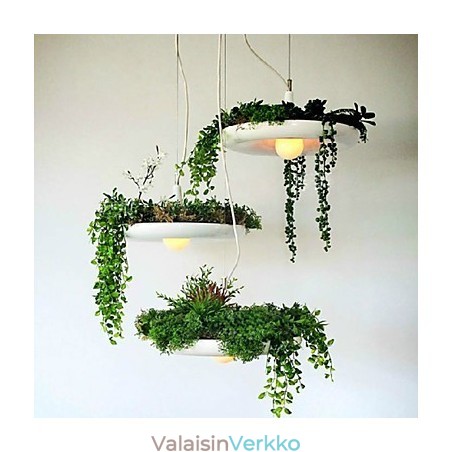 Alumiininen Droplight Nordic Creative -sopimus taivaspuutarhalamput ja -lyhdyt Light No Soil Plant Alumiininen Droplight Nordic Creative -sopimus taivaspuutarhalamput ja -lyhdyt Light No Soil Plant