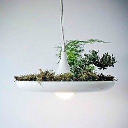Alumiininen Droplight Nordic Creative -sopimus taivaspuutarhalamput ja -lyhdyt Light No Soil Plant