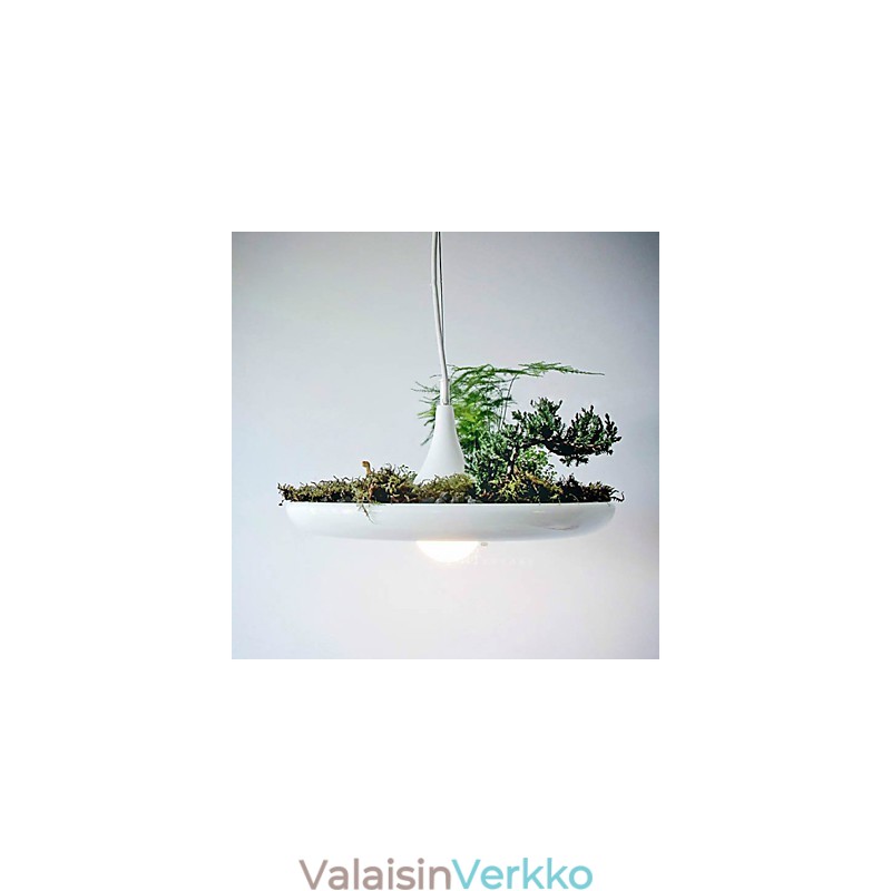 Alumiininen Droplight Nordic Creative -sopimus taivaspuutarhalamput ja -lyhdyt Light No Soil Plant