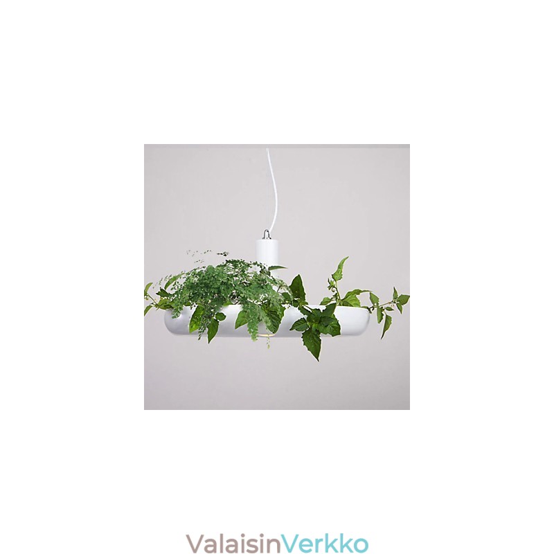 Alumiininen Droplight Nordic Creative -sopimus taivaspuutarhalamput ja -lyhdyt Light No Soil Plant