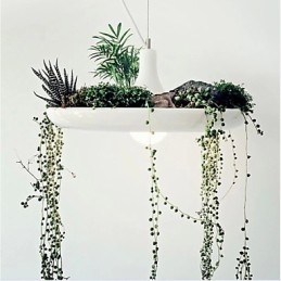 Alumiininen Droplight Nordic Creative -sopimus taivaspuutarhalamput ja -lyhdyt Light No Soil Plant