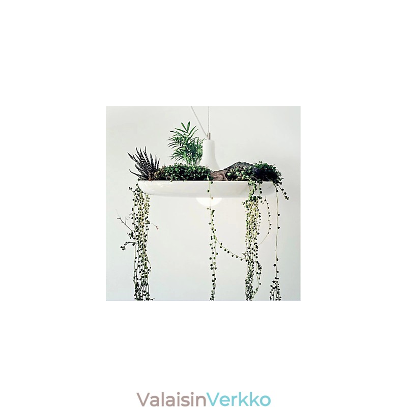 Alumiininen Droplight Nordic Creative -sopimus taivaspuutarhalamput ja -lyhdyt Light No Soil Plant