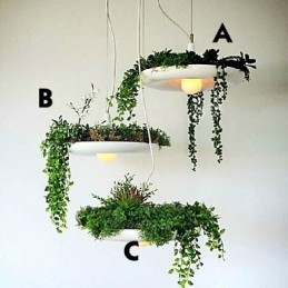 Alumiininen Droplight Nordic Creative -sopimus taivaspuutarhalamput ja -lyhdyt Light No Soil Plant