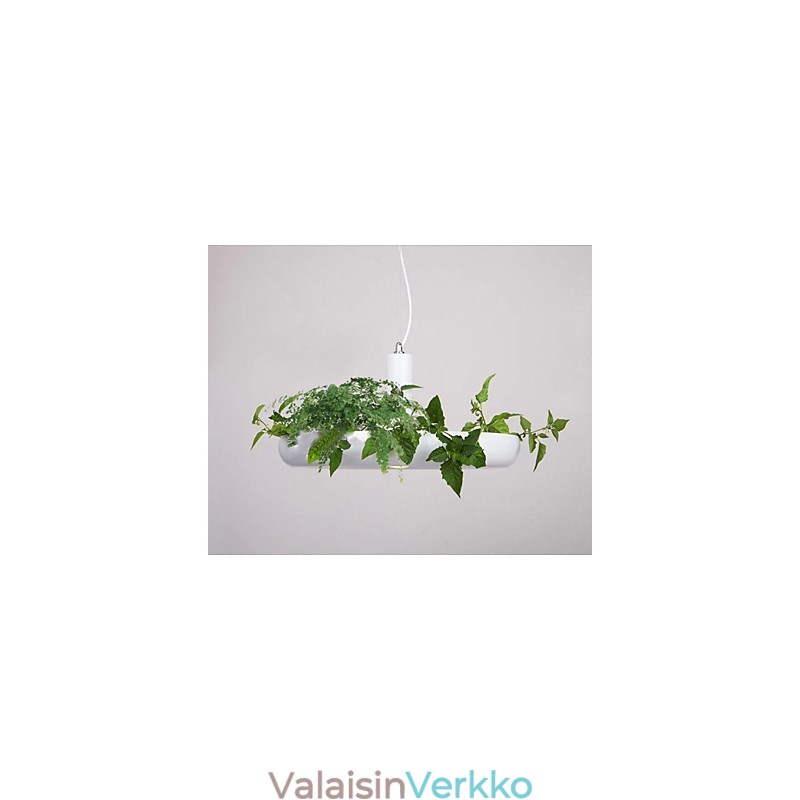 Puhdasvalkoinen moderni nykyaikainen koristeellinen design-riippuvalaisinperhe